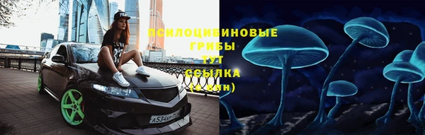 соль ск Ростов