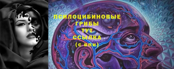 PSILOCYBIN Волоколамск